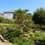 Coulée verte Coteaux du Sud 02